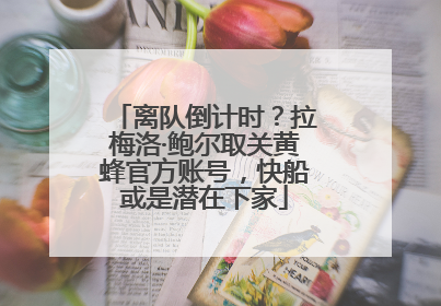 离队倒计时？拉梅洛·鲍尔取关黄蜂官方账号，快船或是潜在下家
